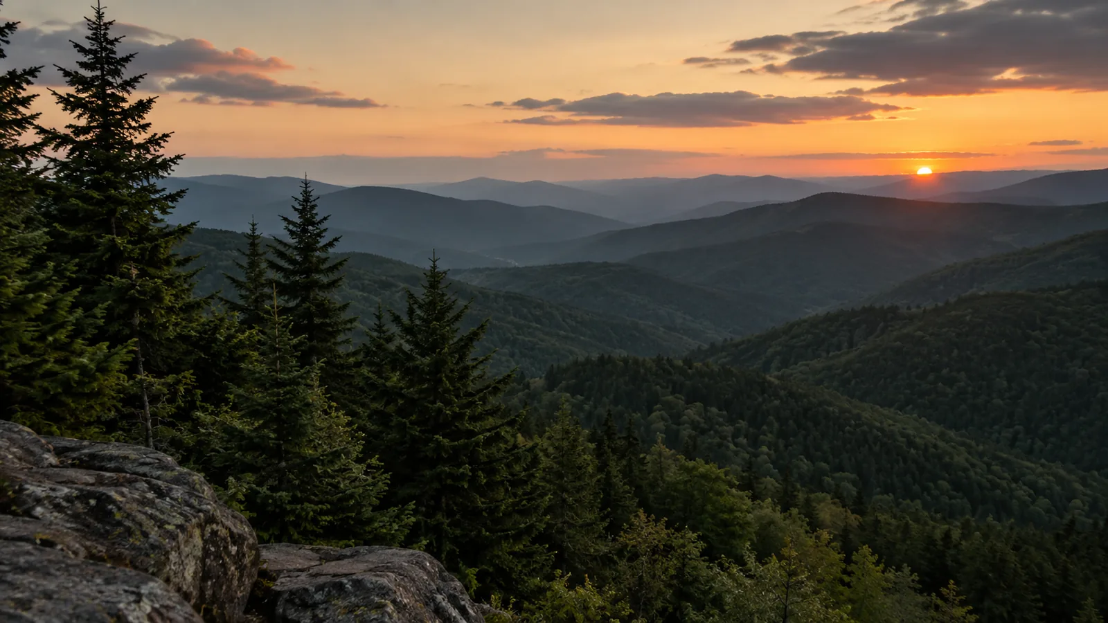 Parque Nacional Great Smoky Mountains