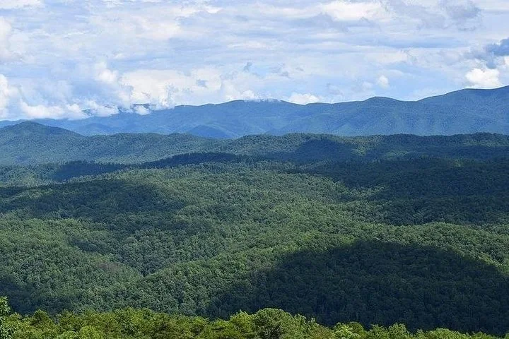 Exuberantes crestas montañosas verdes que se desvanecen en tonos azules en la distancia.